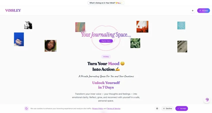 Voisley | Unlimited Journals